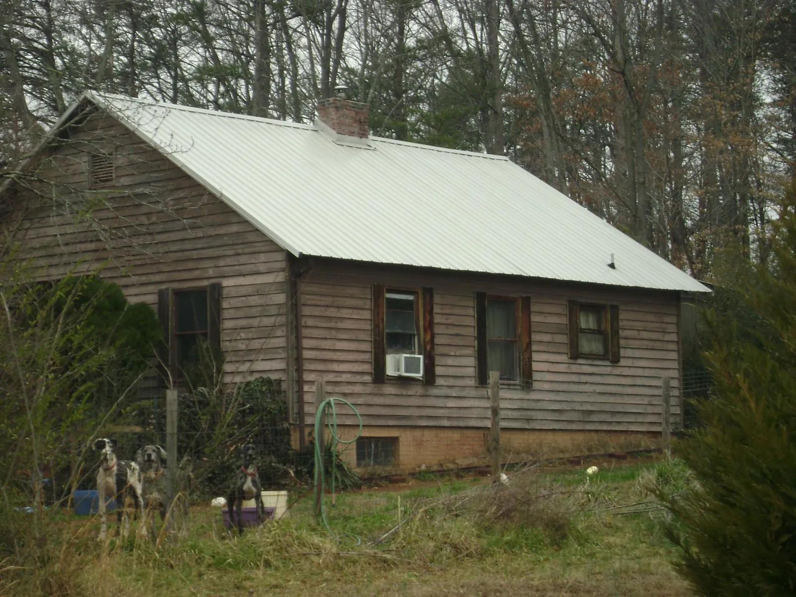 White metal roof on an old wood sided farmhouse, from a Asphalt Shingle Roof Repair job in Lindsey